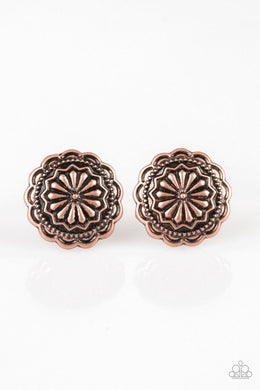 Durango Desert - Copper freeshipping - Sassy Sparkles $5 Jewelry