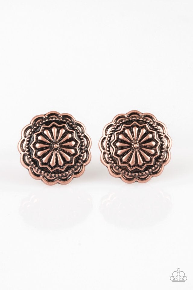 Durango Desert - Copper freeshipping - Sassy Sparkles $5 Jewelry