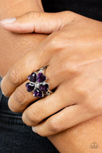 Load image into Gallery viewer, Paparazzi Minnesota Magic - Purple
